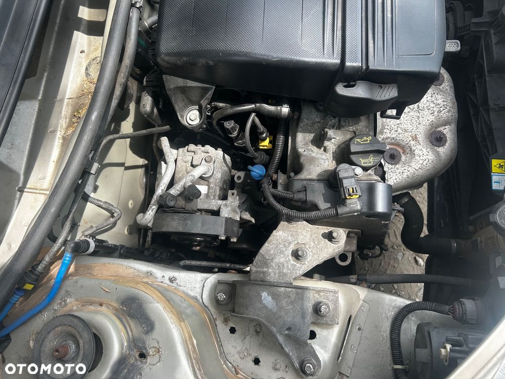 Fiat Punto - 24