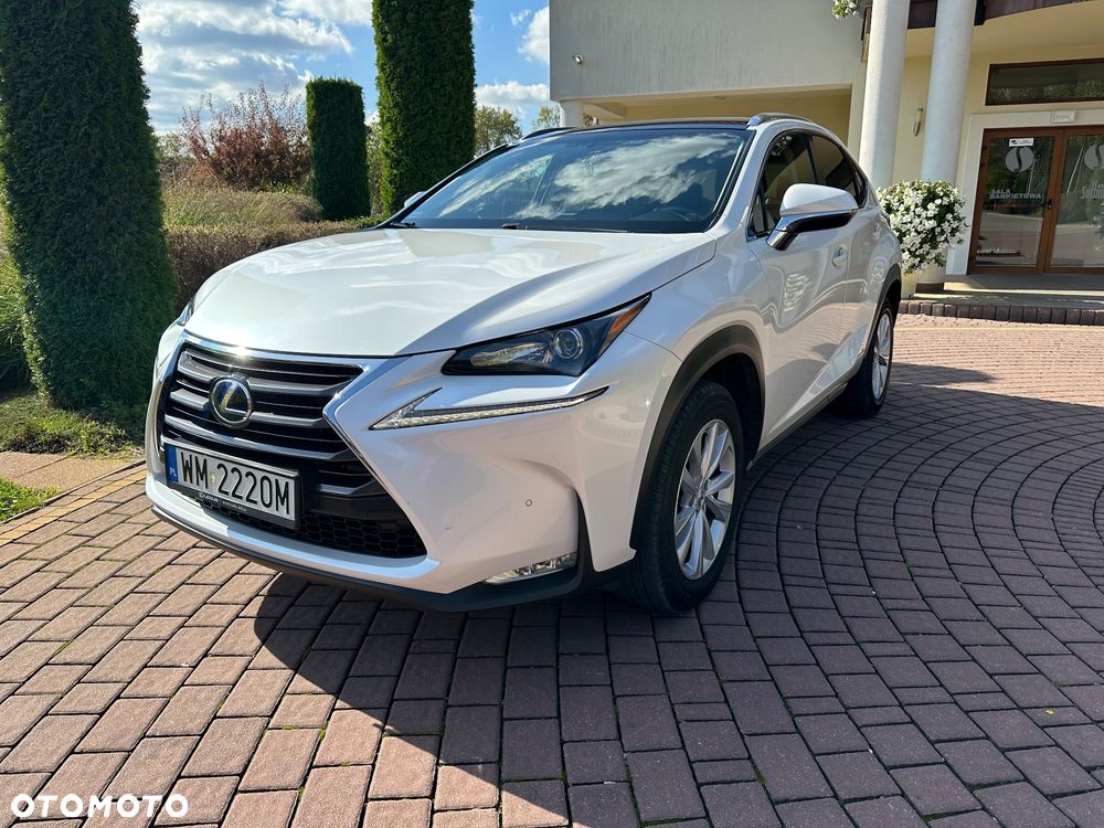 Lexus NX - 15