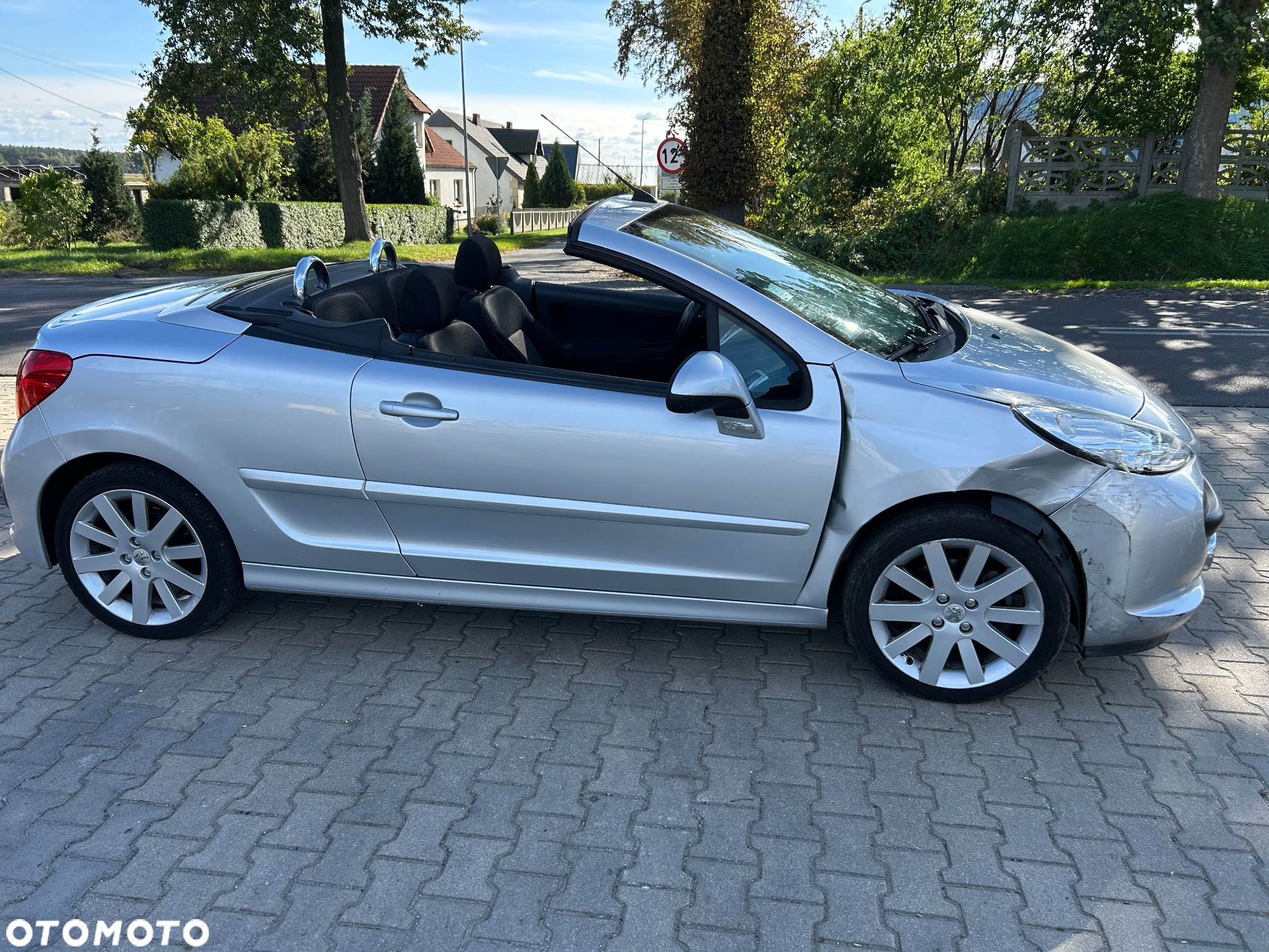 Peugeot 207 - 3