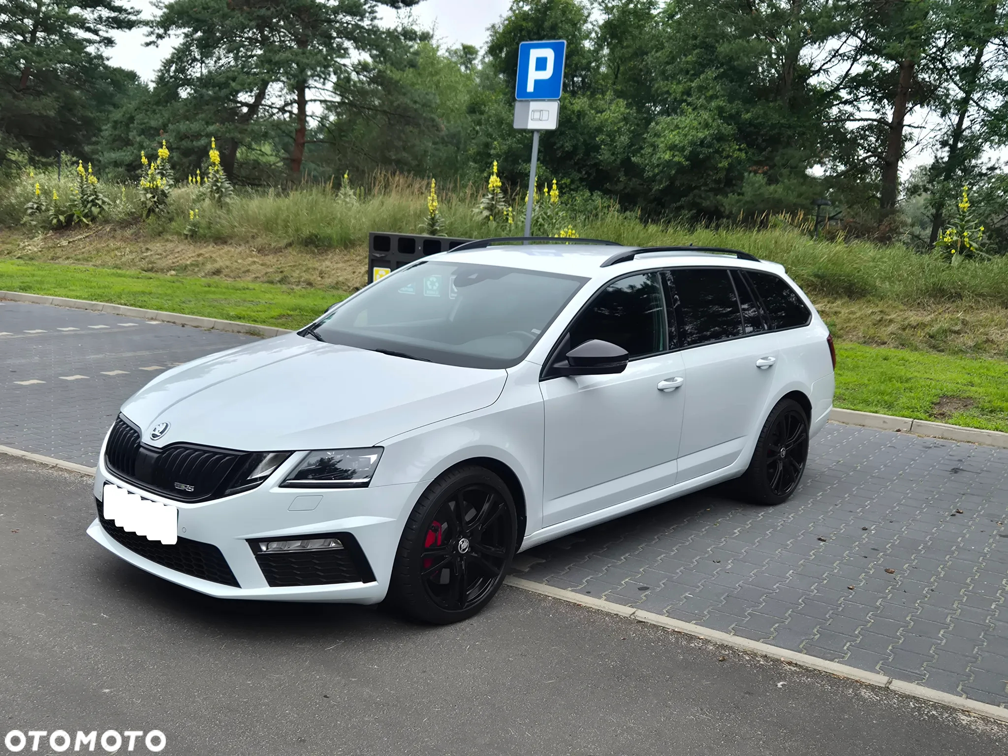 Skoda Octavia 2.0 TSI RS 245 - 17