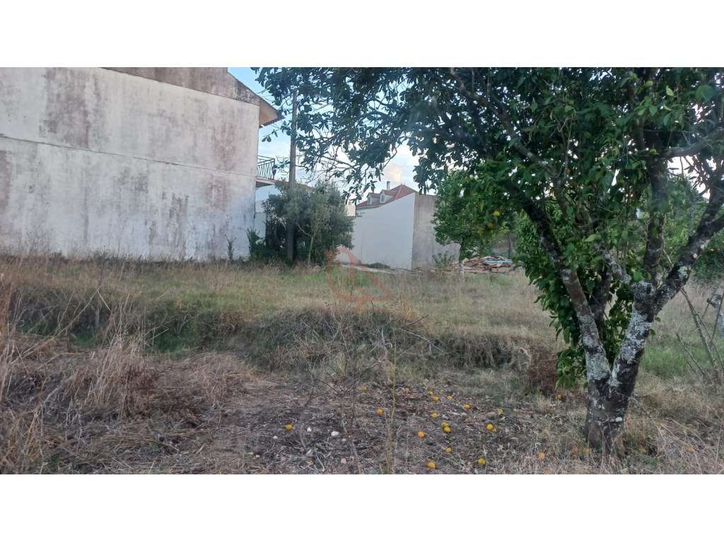 Terreno para construção - Grande imagem: 5/8