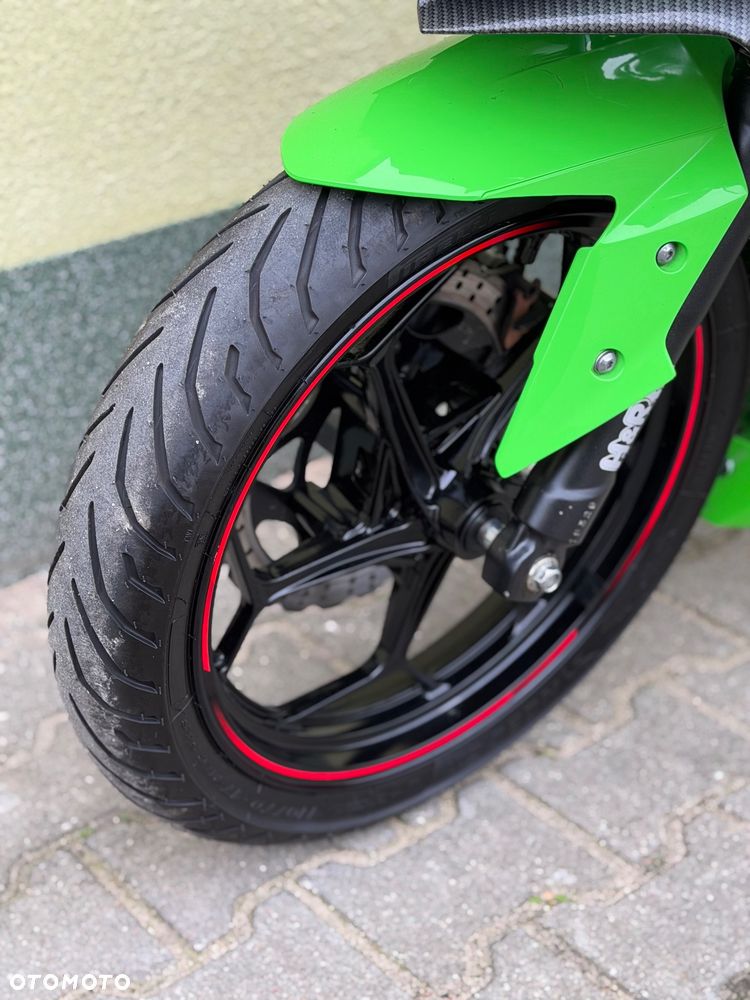 Kawasaki Ninja - 29