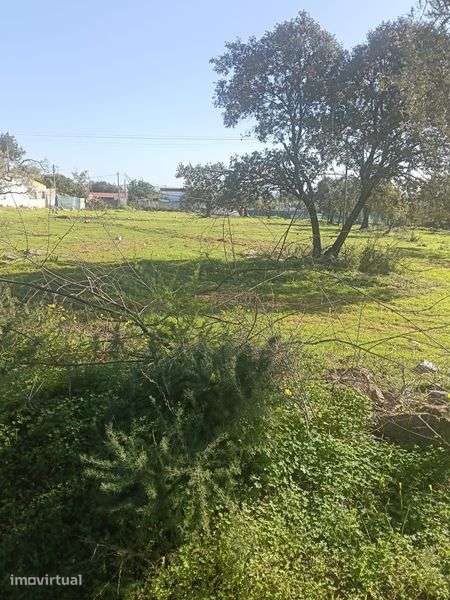 Vende-se terreno - Grande imagem: 2/8