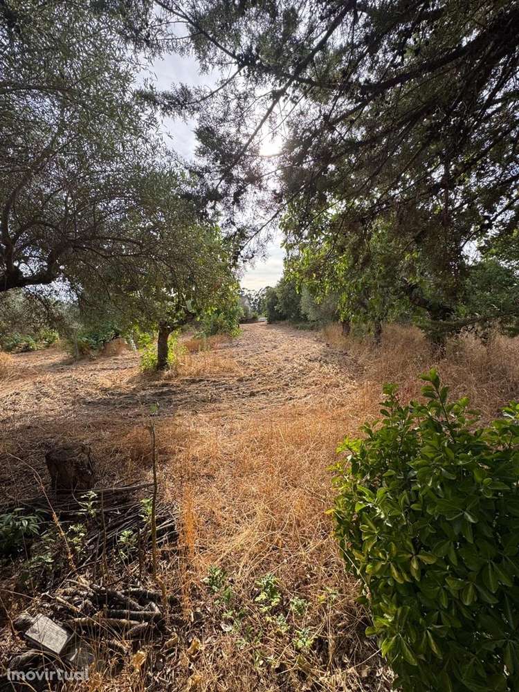 Quinta - Grande imagem: 2/14