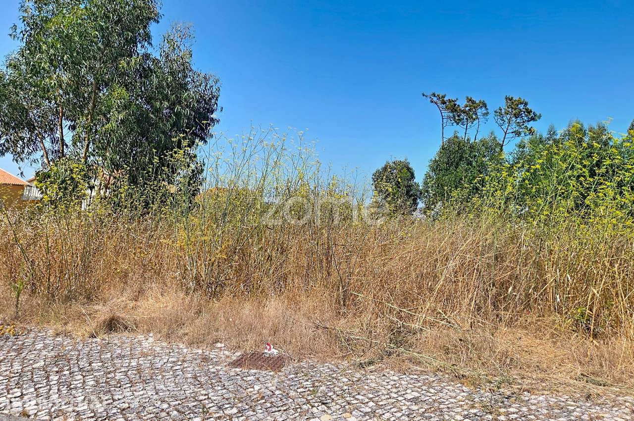 Lote construção|Moradia Lavos| Oportunidade - Grande imagem: 4/19