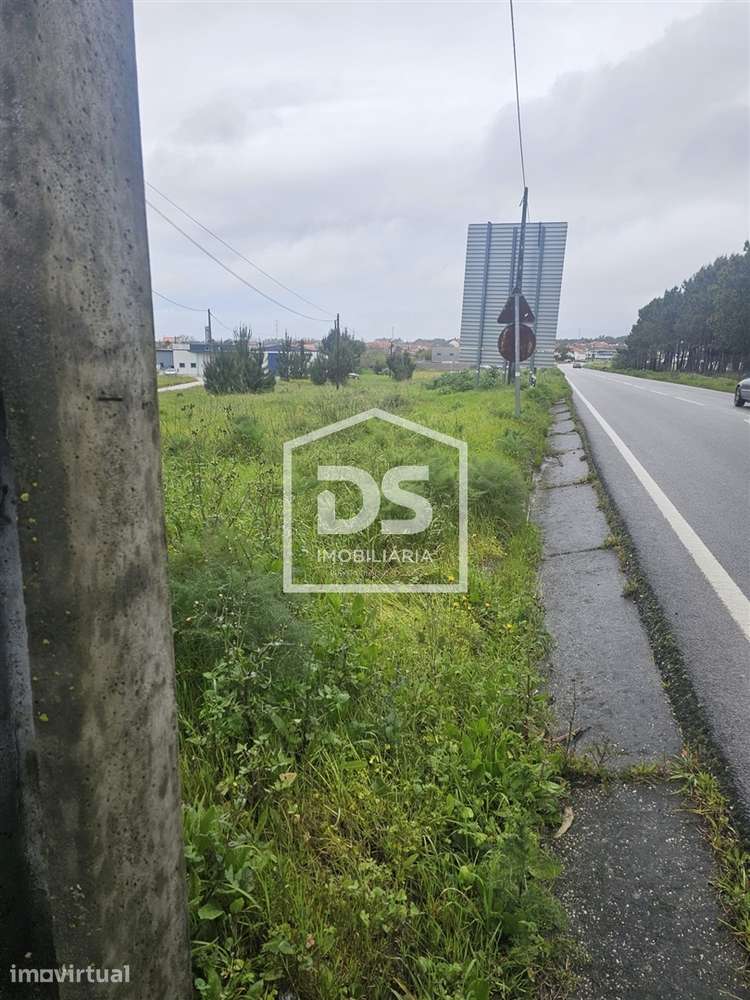 Terreno Rústico T0 Venda em Carriço,Pombal - Grande imagem: 4/12