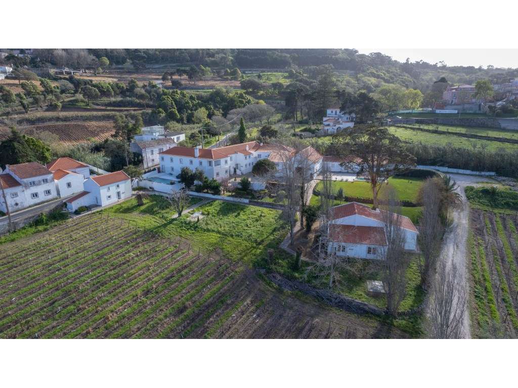 QUINTA EM COLARES - Grande imagem: 2/60