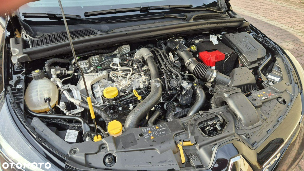 Renault Clio - 19