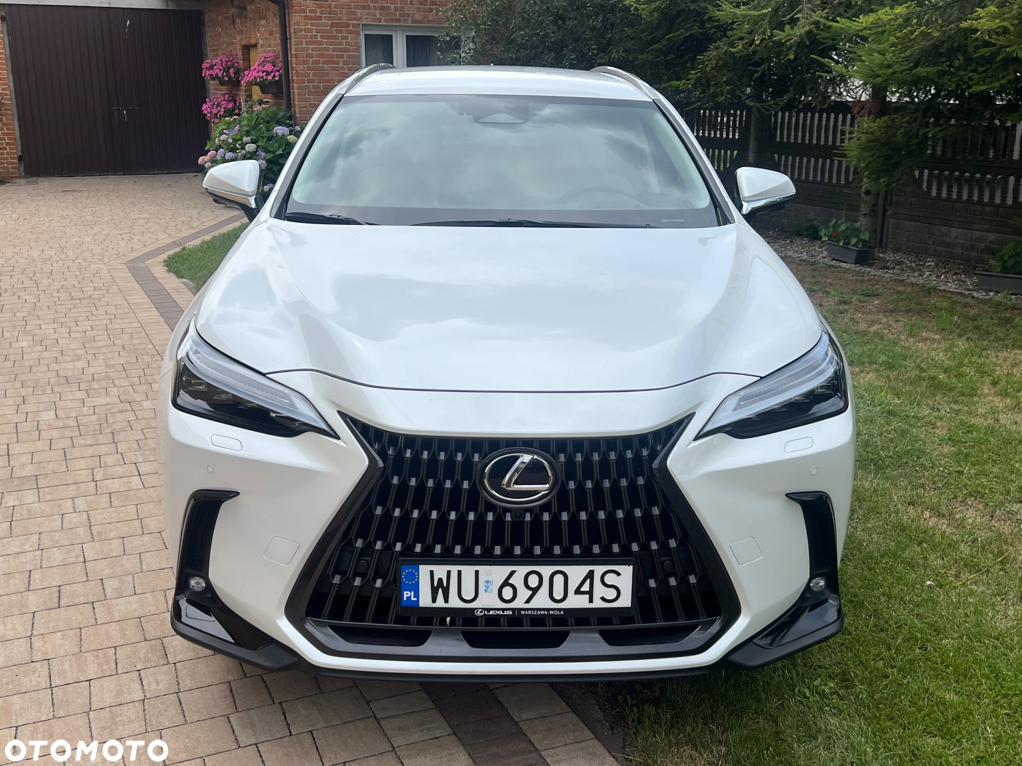 Lexus NX 350h Prestige AWD - 9