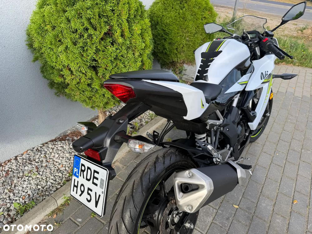 Kawasaki Ninja - 24