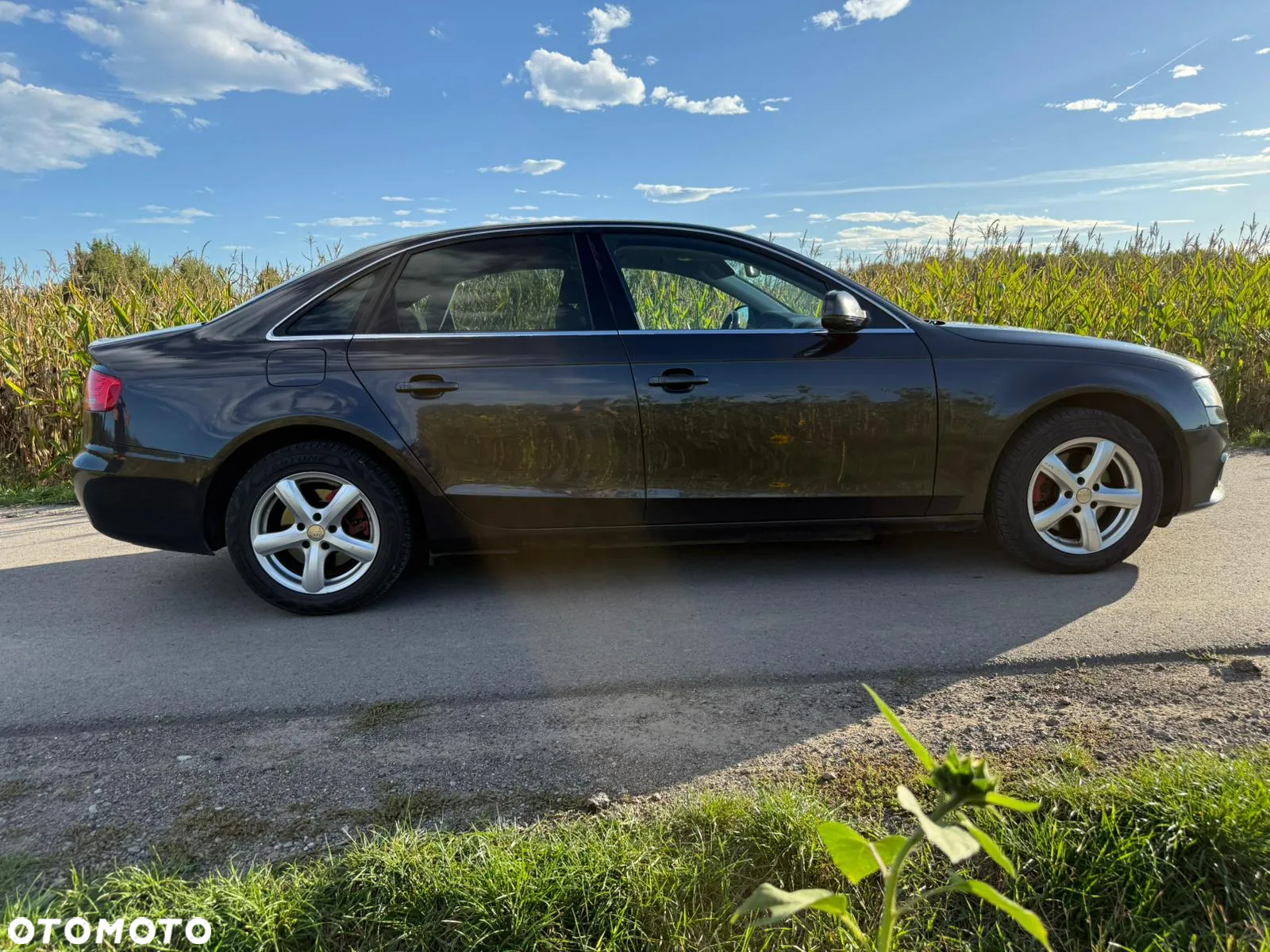 Audi A4 - 9