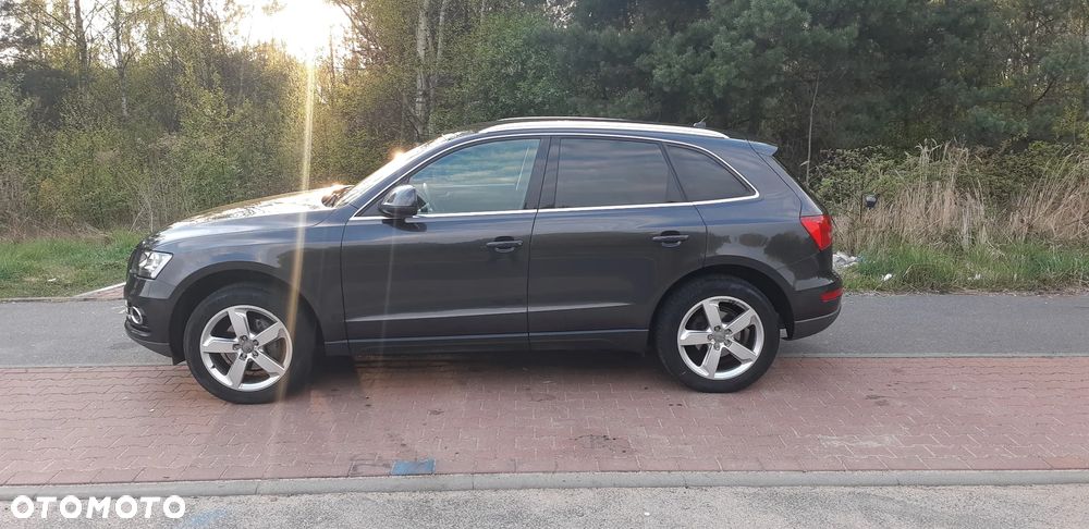 Audi Q5 - 5