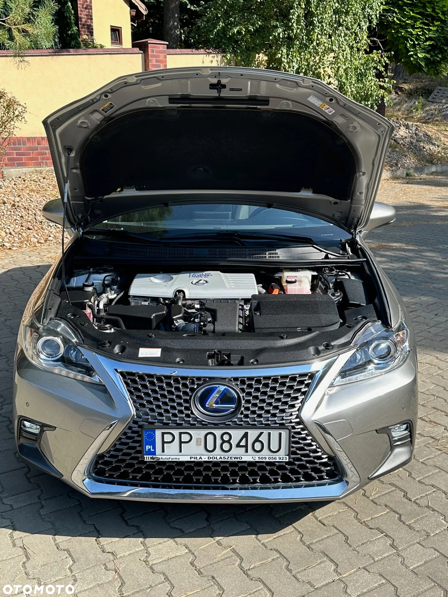 Lexus CT 200h Dynamic Line - 19