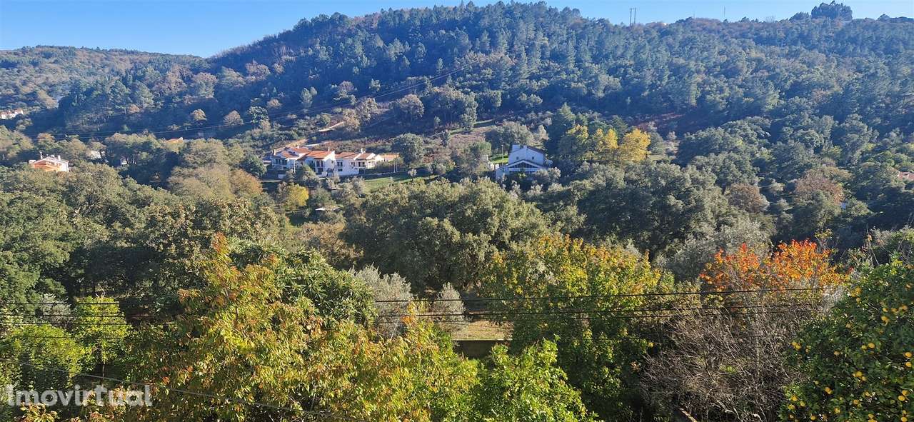Moradia T4 Venda em Ribeira de Nisa e Carreiras,Portalegre - Grande imagem: 2/52