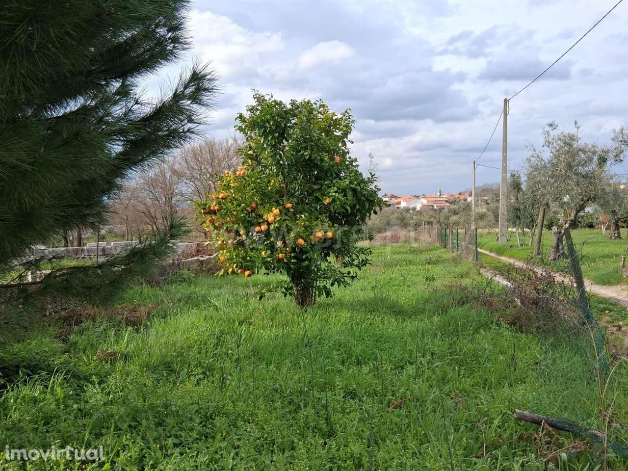 Terreno / Seia, Paranhos - Grande imagem: 4/15