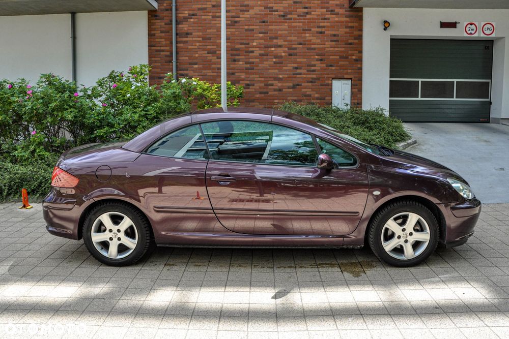 Peugeot 307 - 5