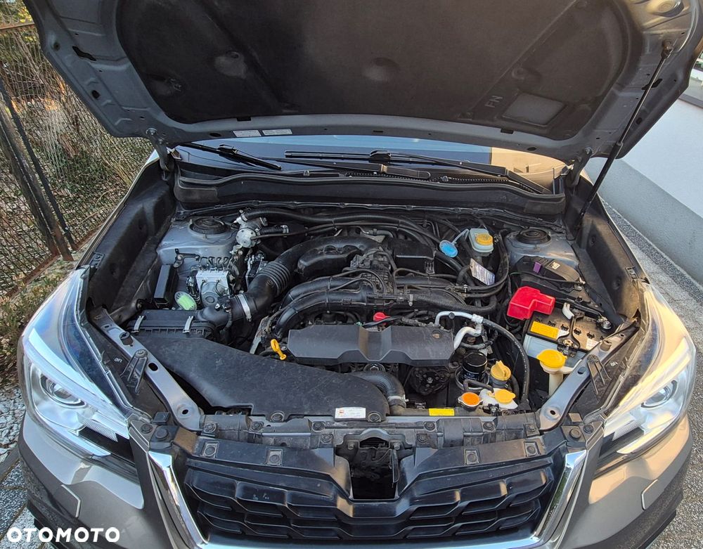 Subaru Forester 2.0 i Active Lineartronic - 15