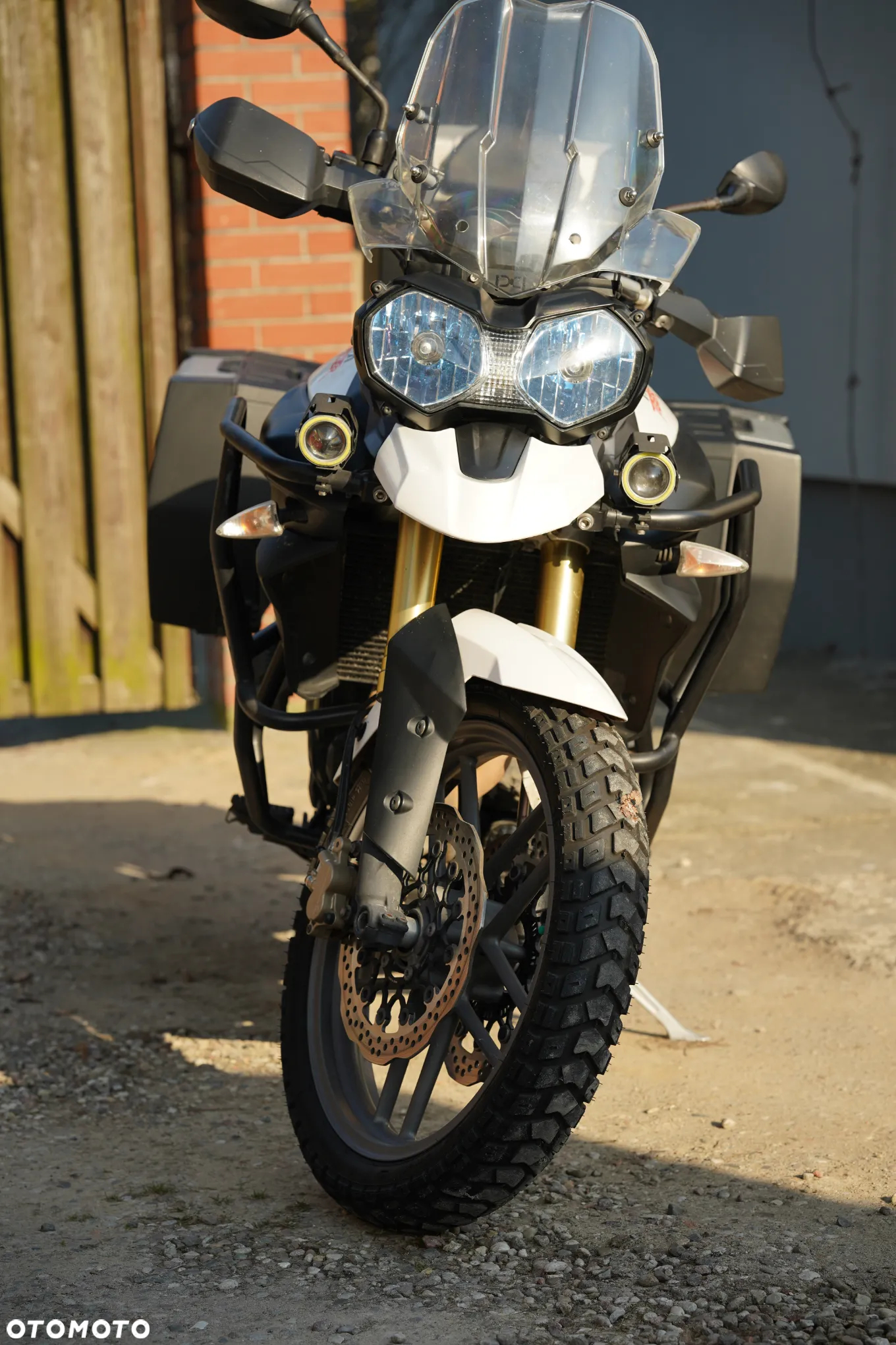 Triumph Tiger - 30