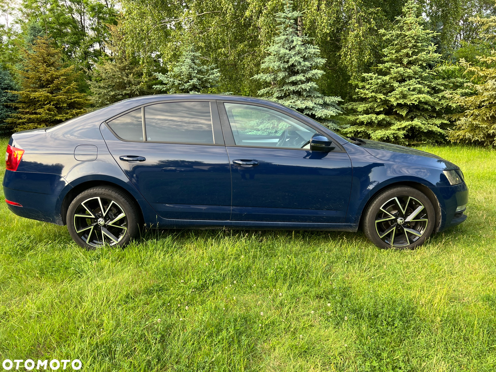 Skoda Octavia 1.6 TDI Ambition - 4