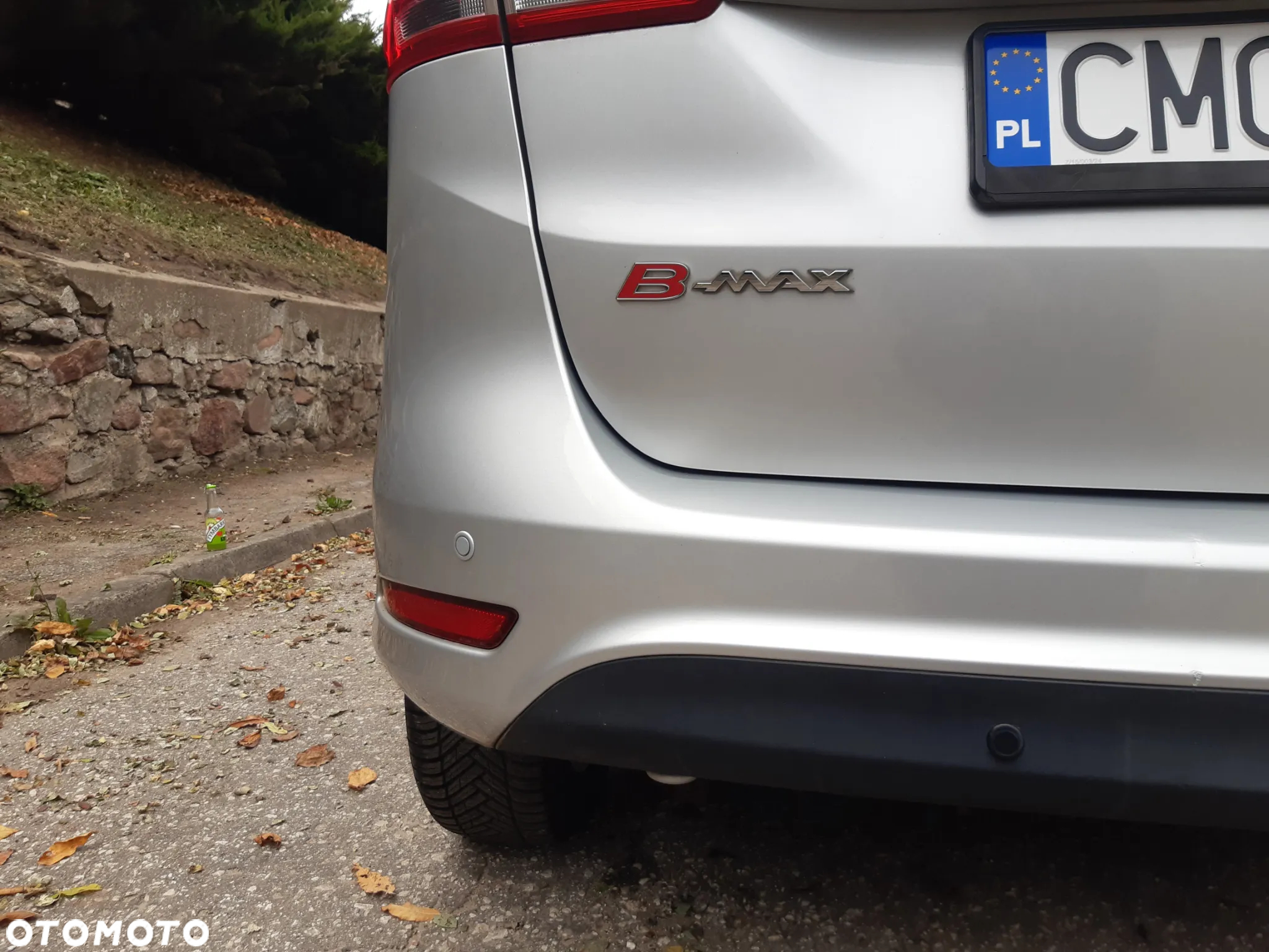 Ford B-MAX 1.0 EcoBoost Individual - 19