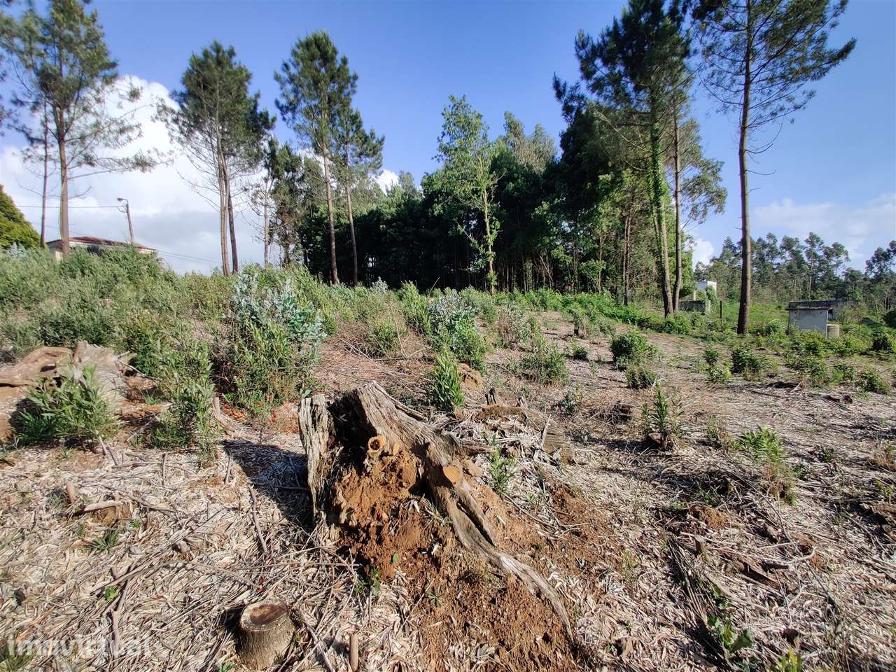 Terreno Urbanizável em Grijó - Grande imagem: 4/15