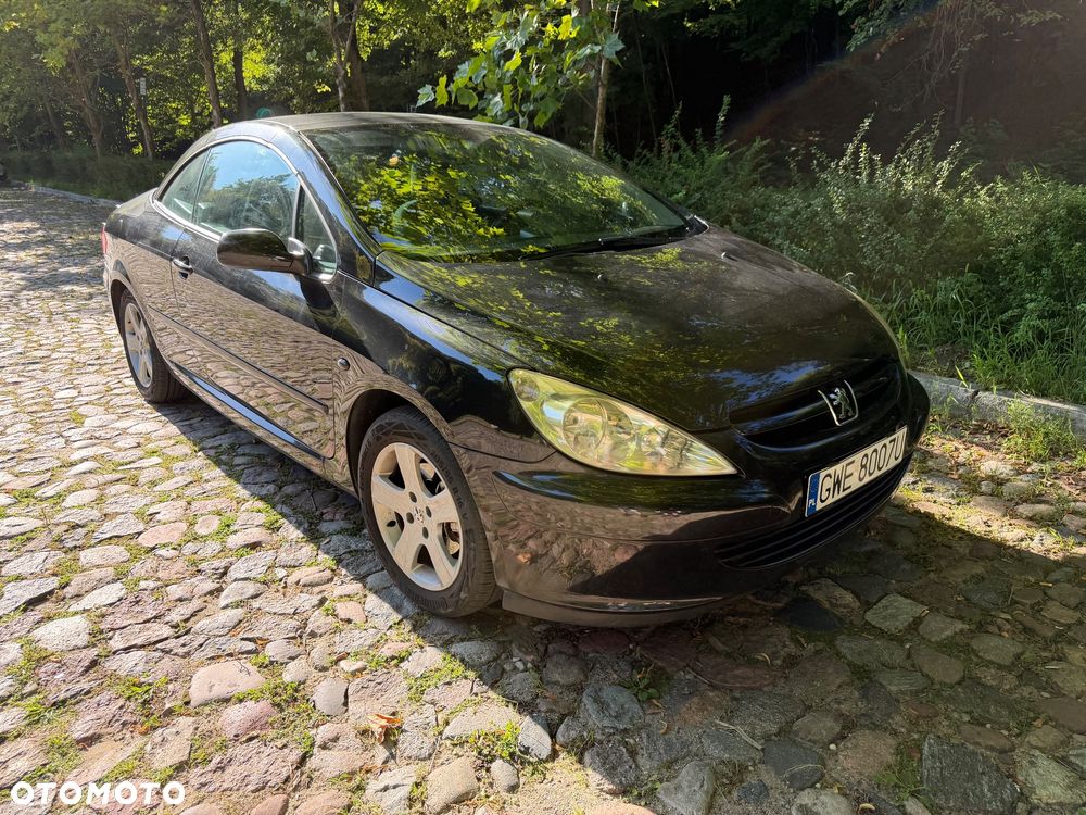 Peugeot 307 CC - 3