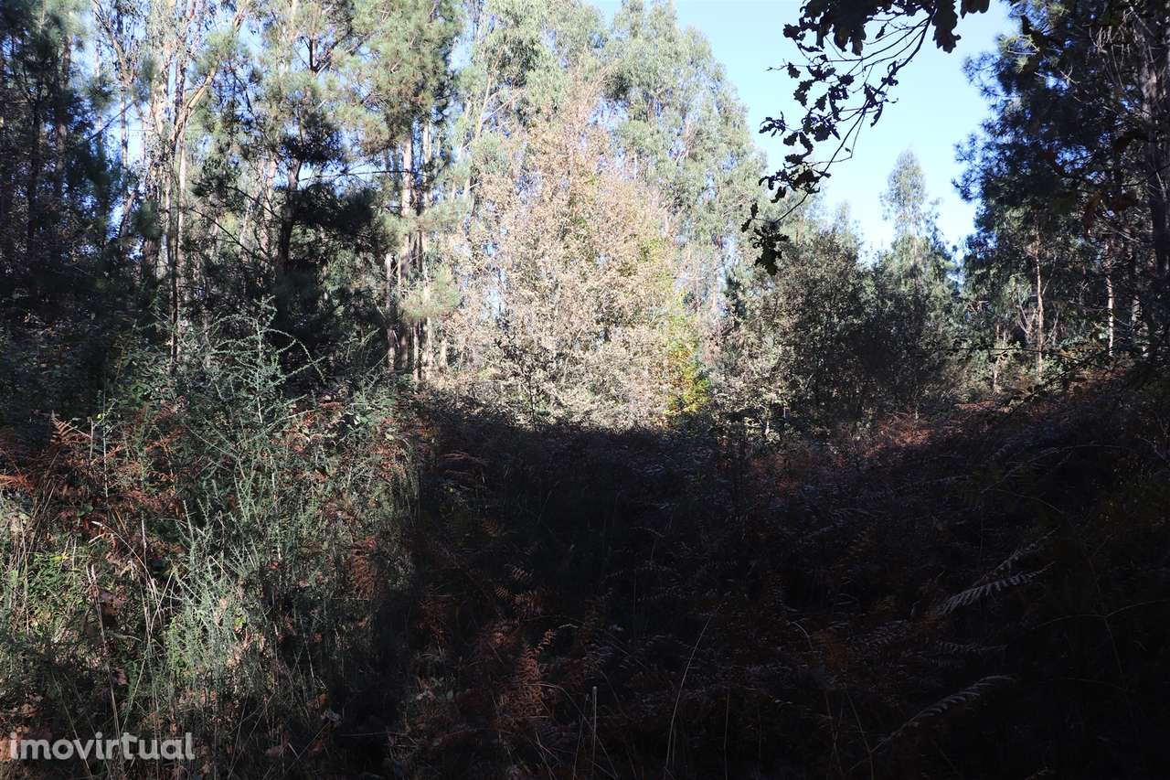 Lote de Terreno  Venda em Sousela,Lousada - Grande imagem: 4/9