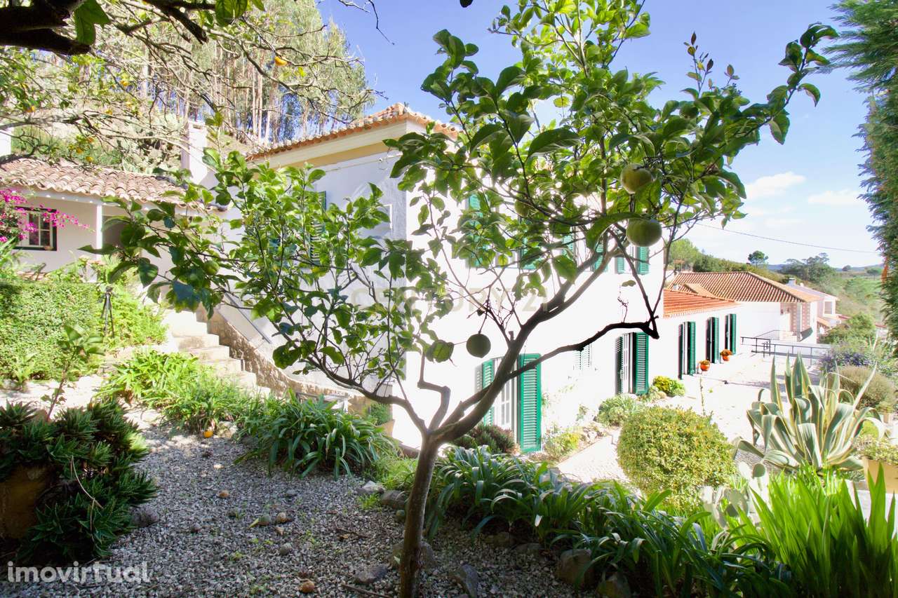 Moradia T3 - Combinação de história, natureza e potencial de desenvolv - Grande imagem: 3/60