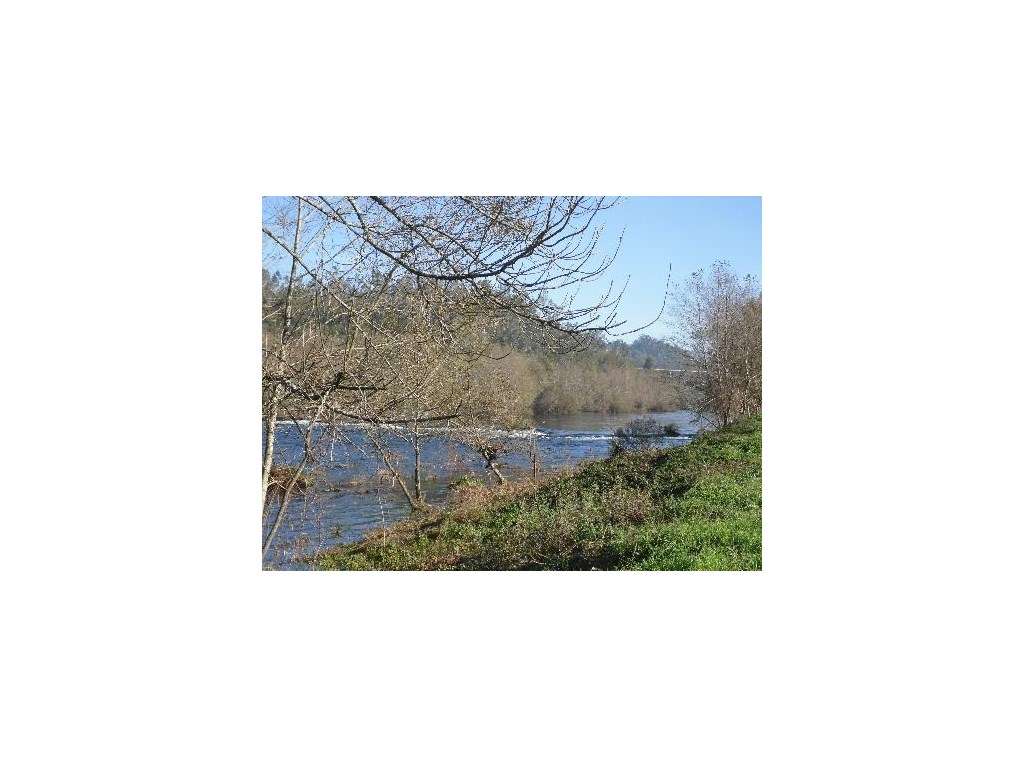 Quinta com 2 hectares em Bravães - Grande imagem: 5/6