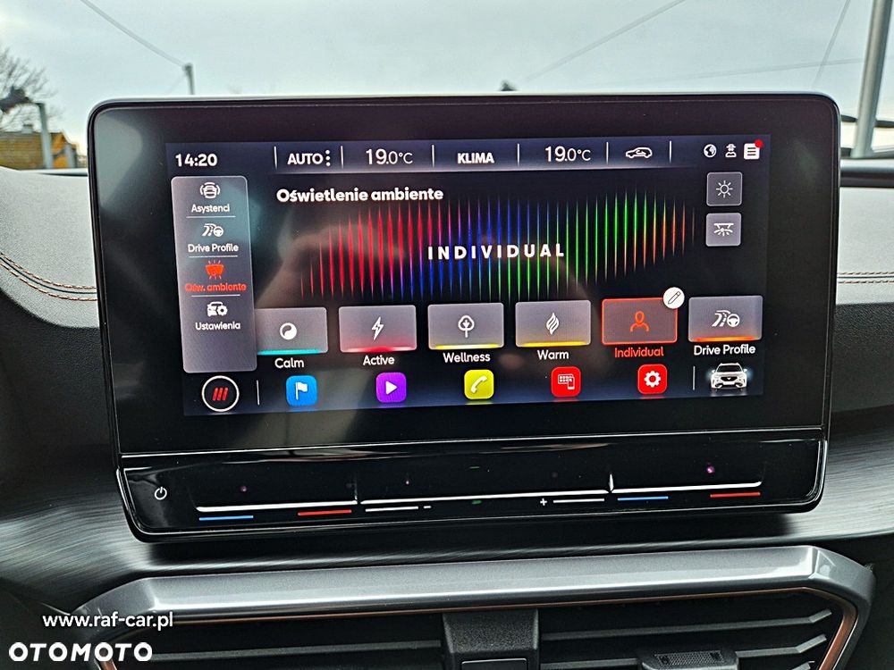 Cupra Formentor 1.5 TSI DSG - 27