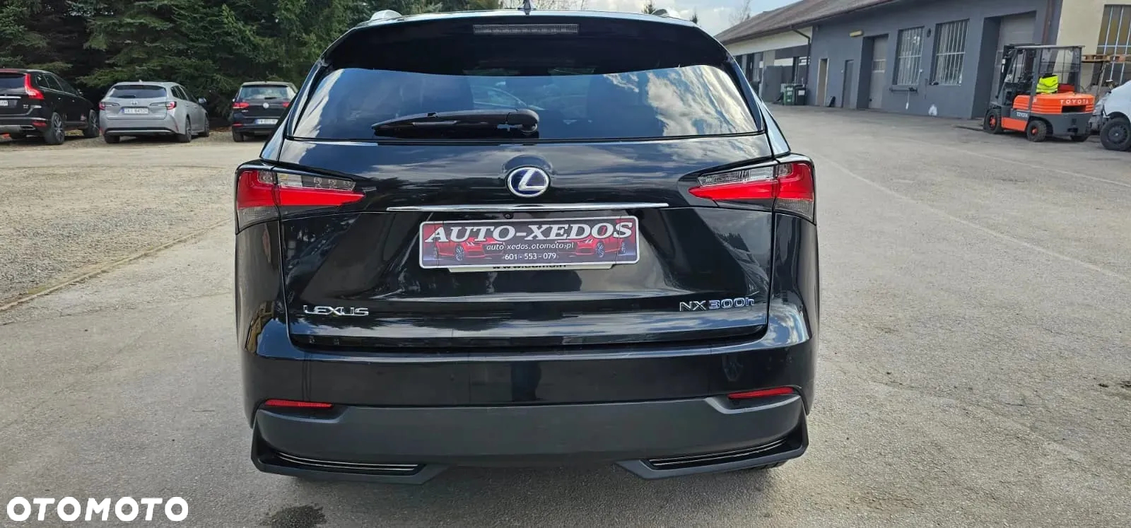 Lexus NX 300h F Sport Edition AWD - 8