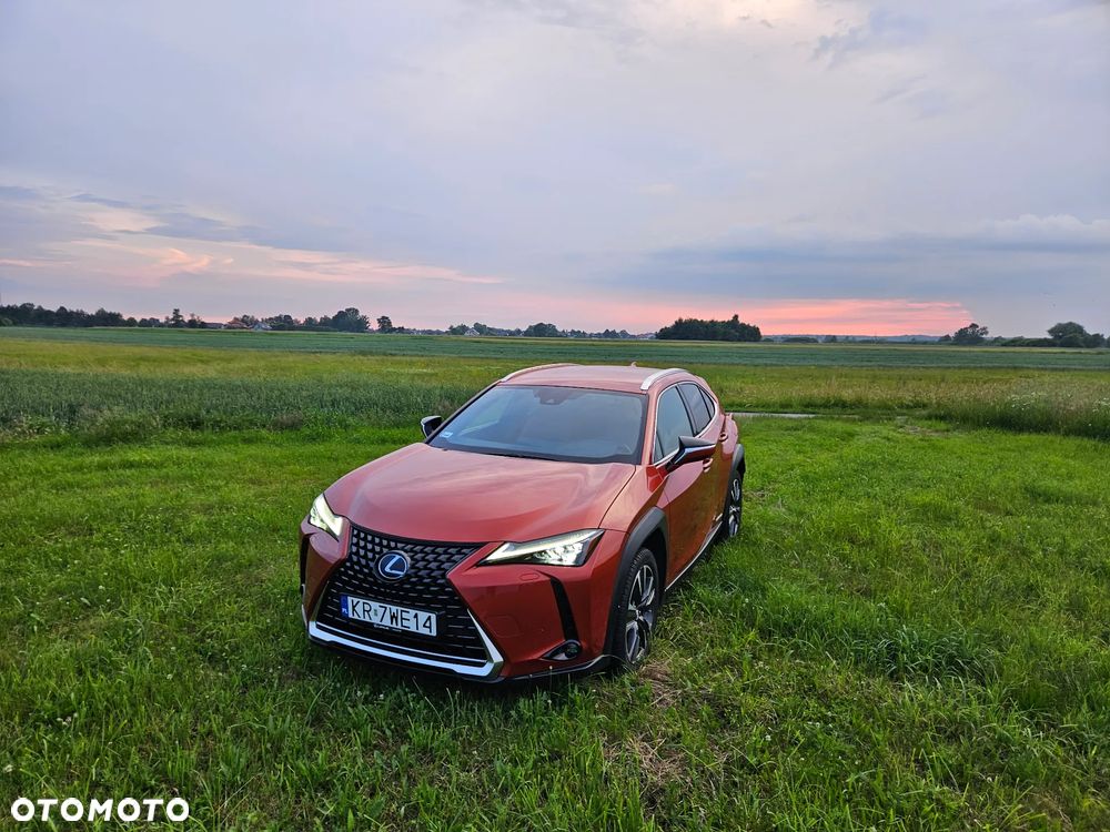 Lexus UX 250h GPF Omotenashi AWD - 1