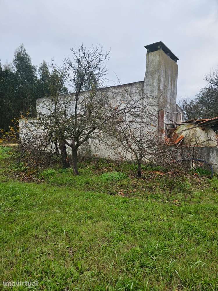 Quintinha 1350m2 - Almeirim - Fazendas de Almeirim - Grande imagem: 2/10