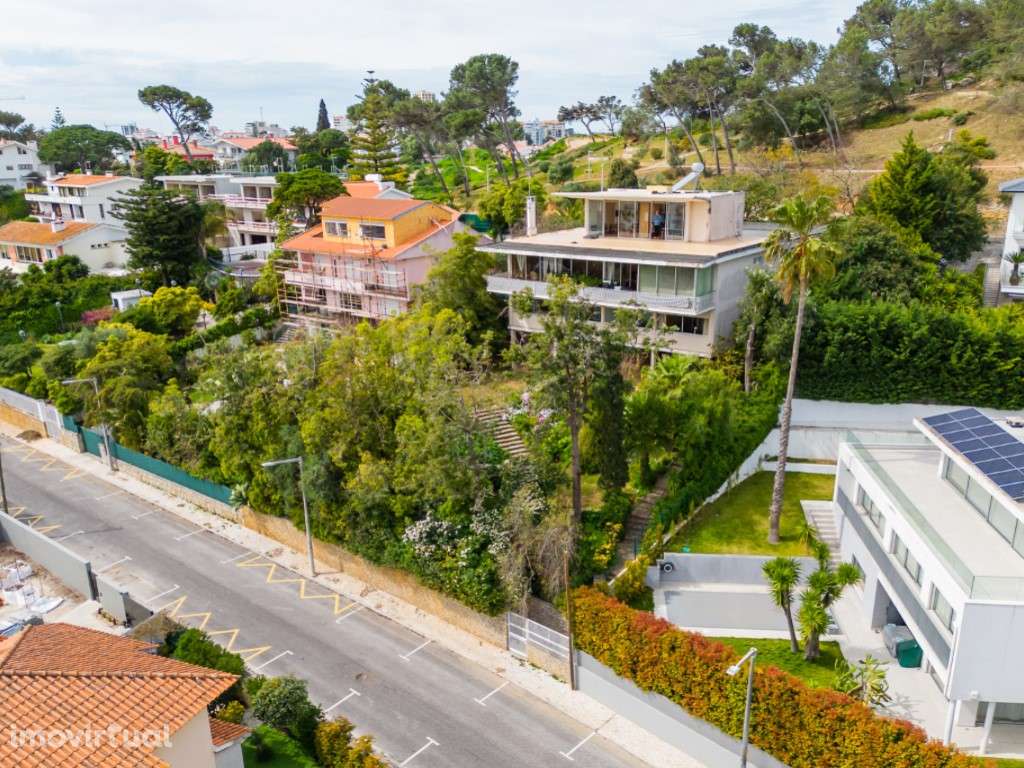 EXCELENTE POTENCIAL CONSTRUTIVO PARA PROJETO PREMIUM: Lote com 1.43... - Grande imagem: 4/33