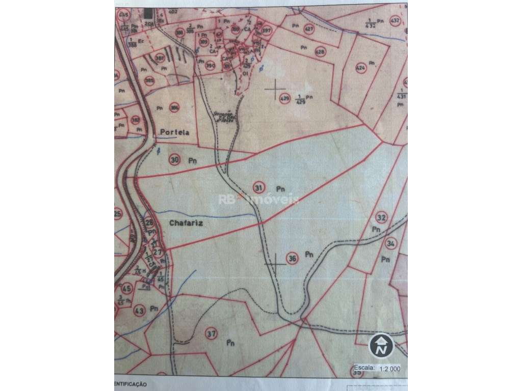 Terreno em Chafariz com Pinhal - Chão de Lopes Grande, Mação - Grande imagem: 2/3