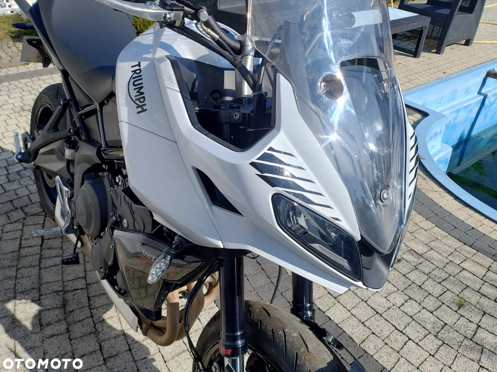 Triumph Tiger - 13