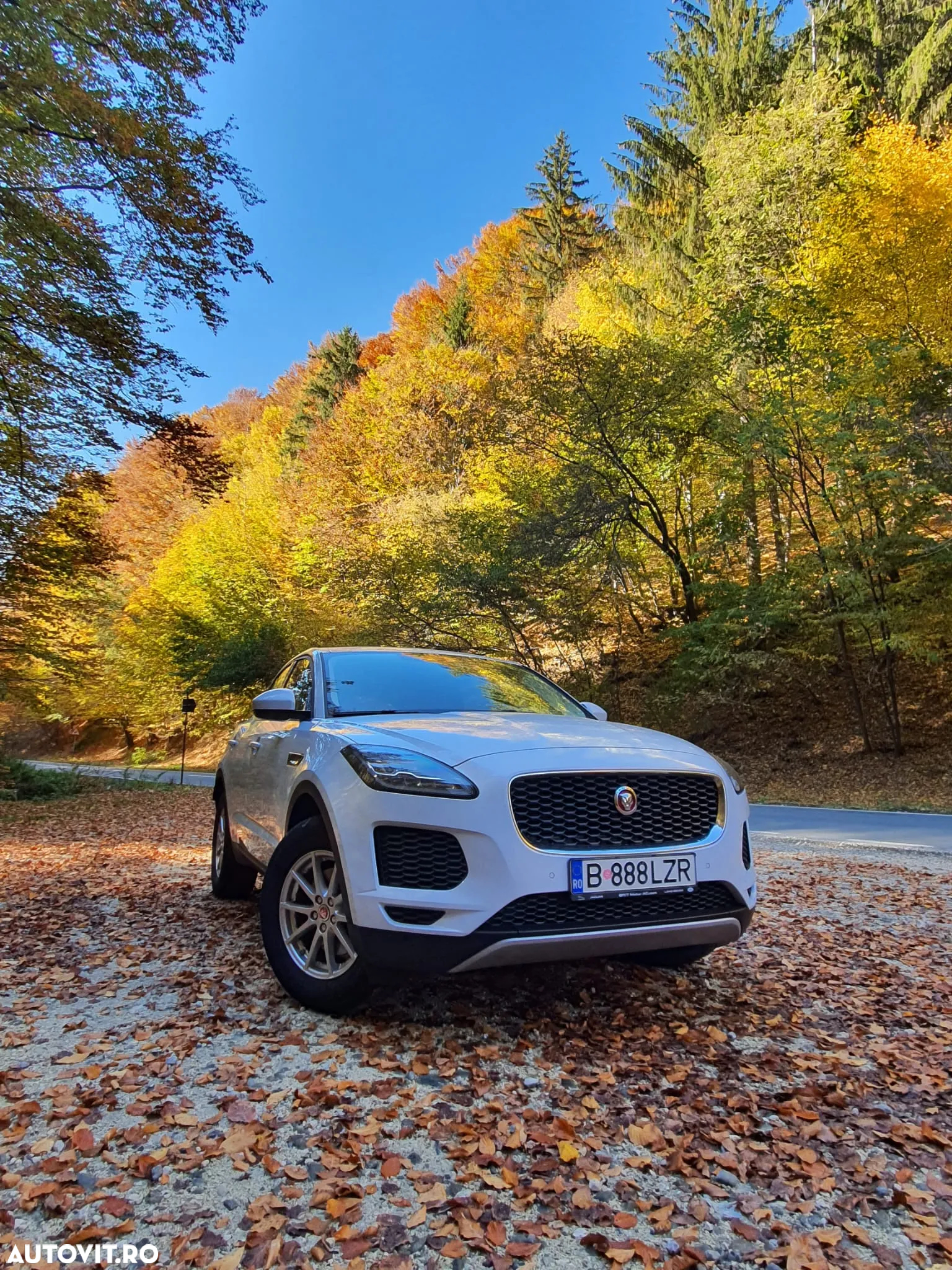 Jaguar E-Pace D180 AWD S - 6