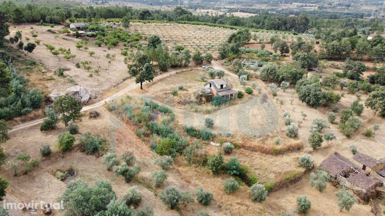 Terreno c/ Moradia p/ Terminar - Pero Viseu - Grande imagem: 5/43