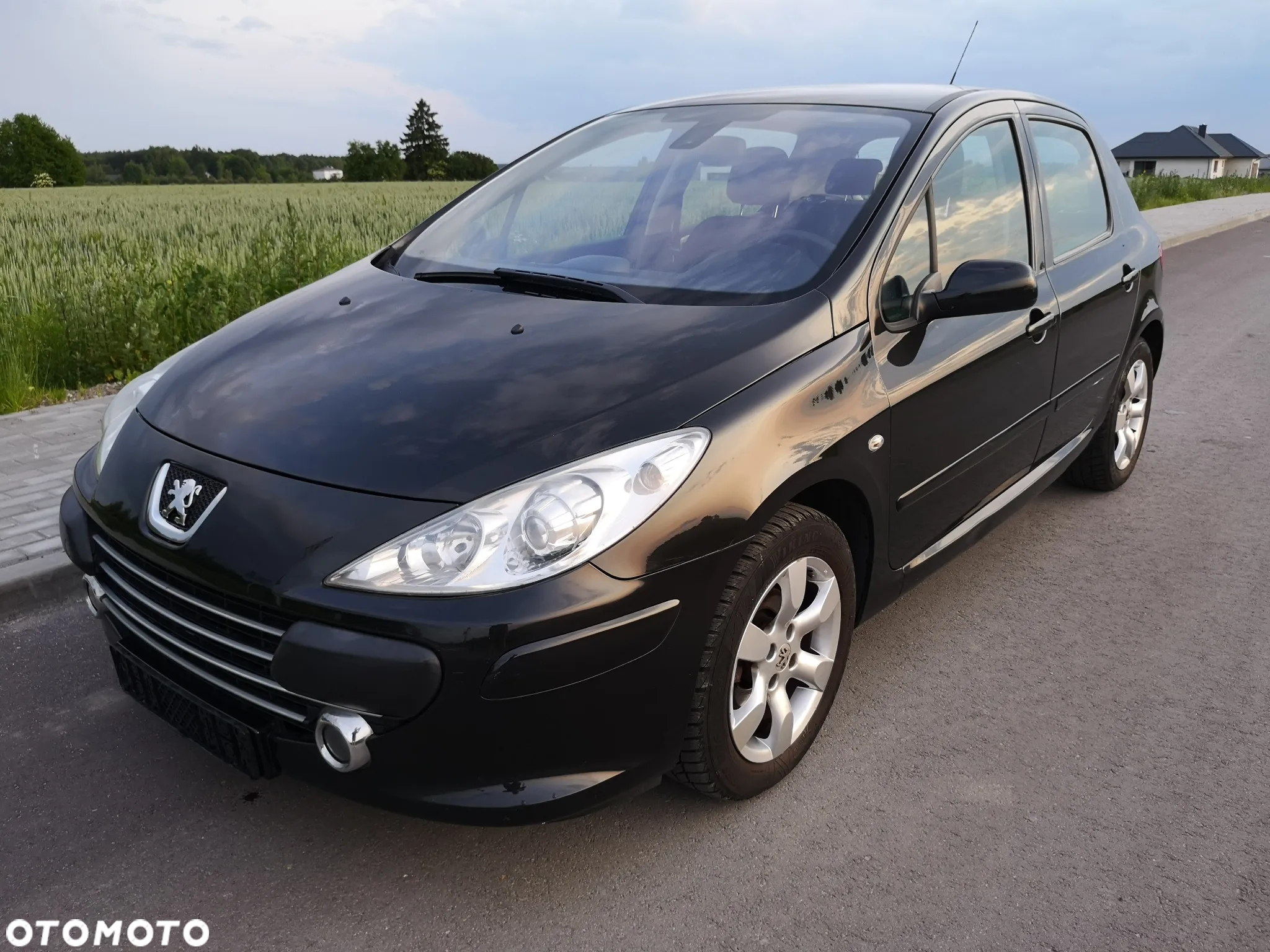 Peugeot 307 110 OXYGO - 23