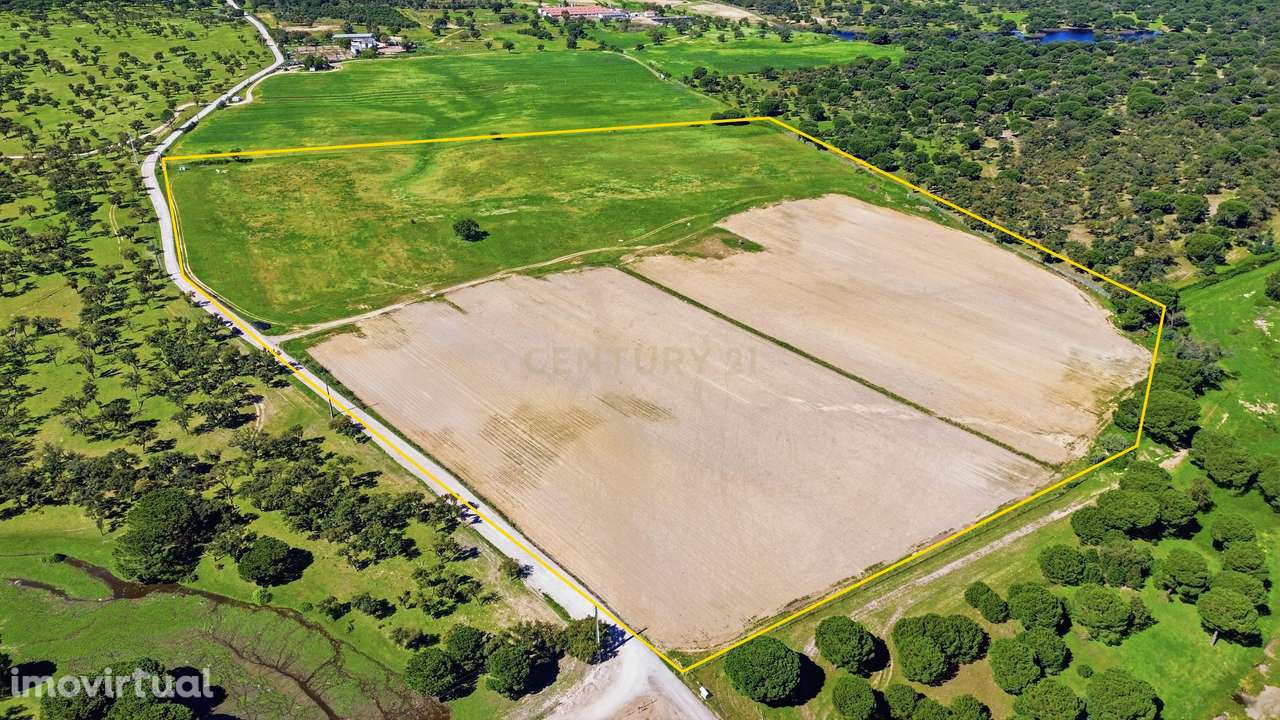 Terreno com 15 Hectares e Viabilidade Multifunções | Alcochete - Grande imagem: 3/3