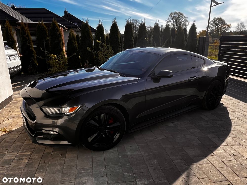 Ford Mustang - 1