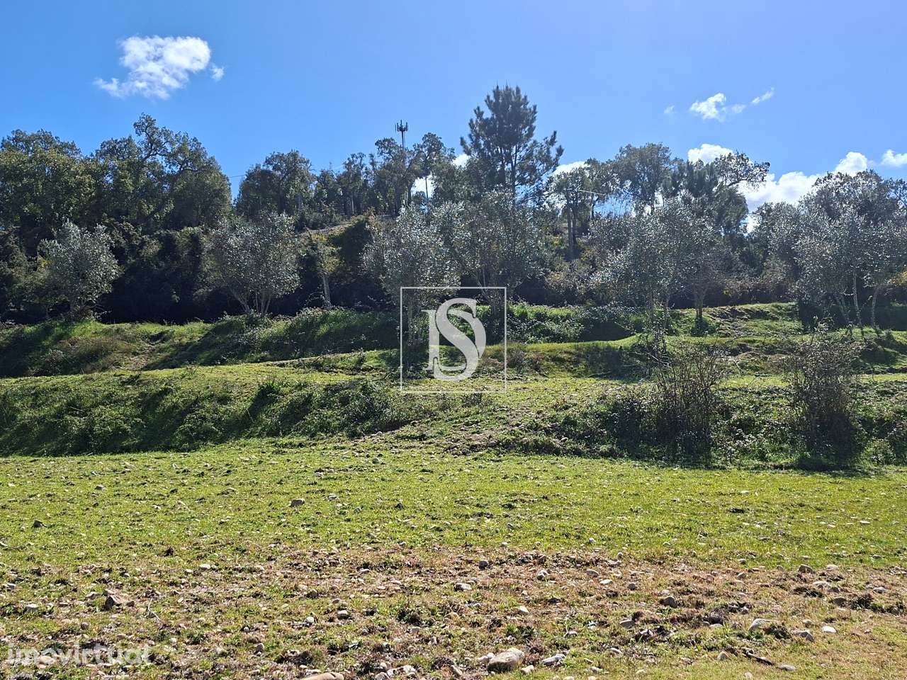 Quintinha no Alentejo com 4.000 m² junto à Ribeira – Excelente potenci - Grande imagem: 3/39