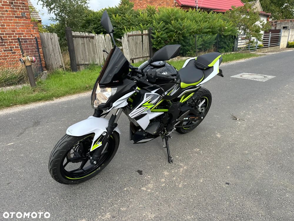 Kawasaki Z - 14