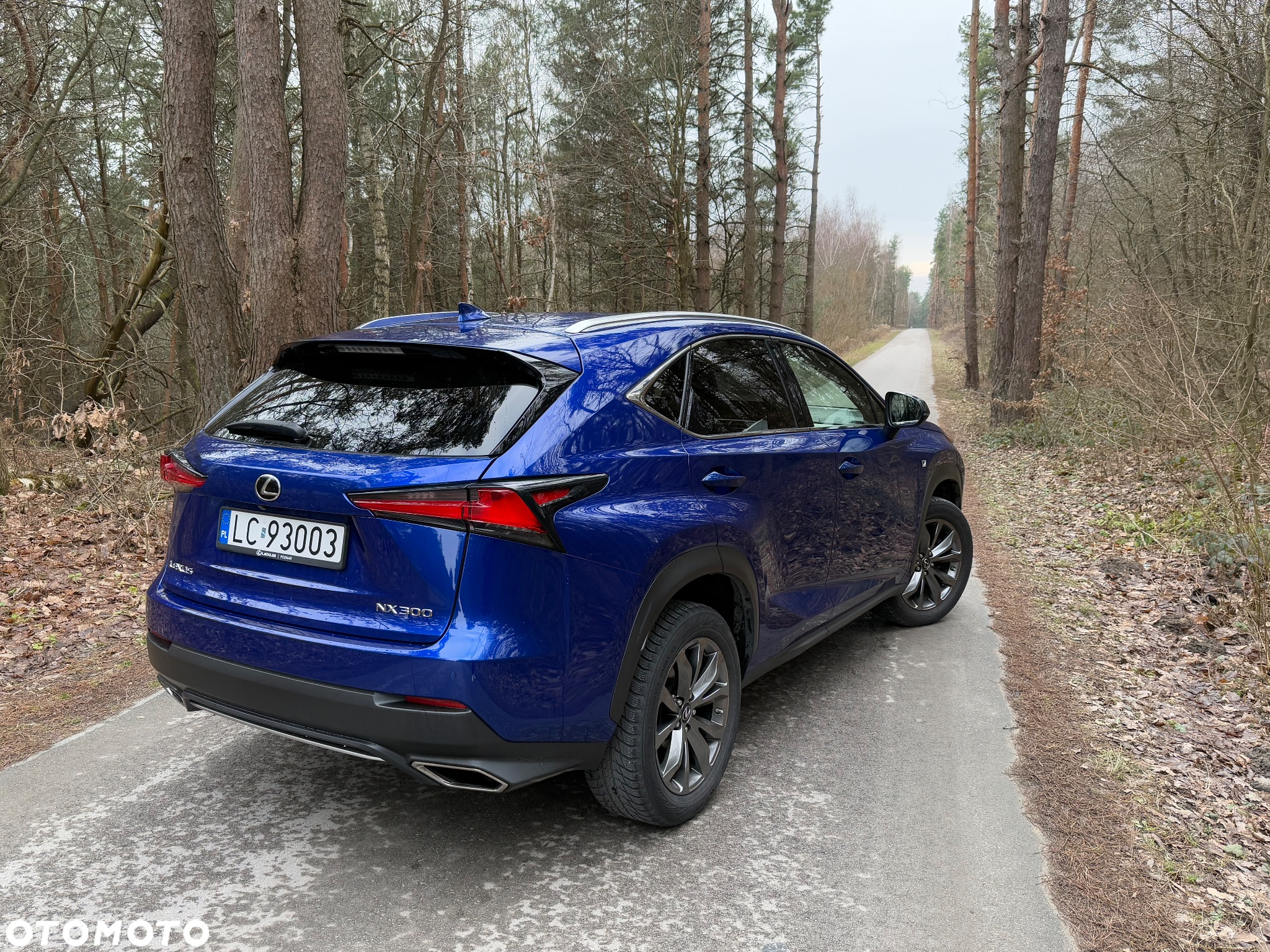 Lexus NX 300 F Sport AWD - 6