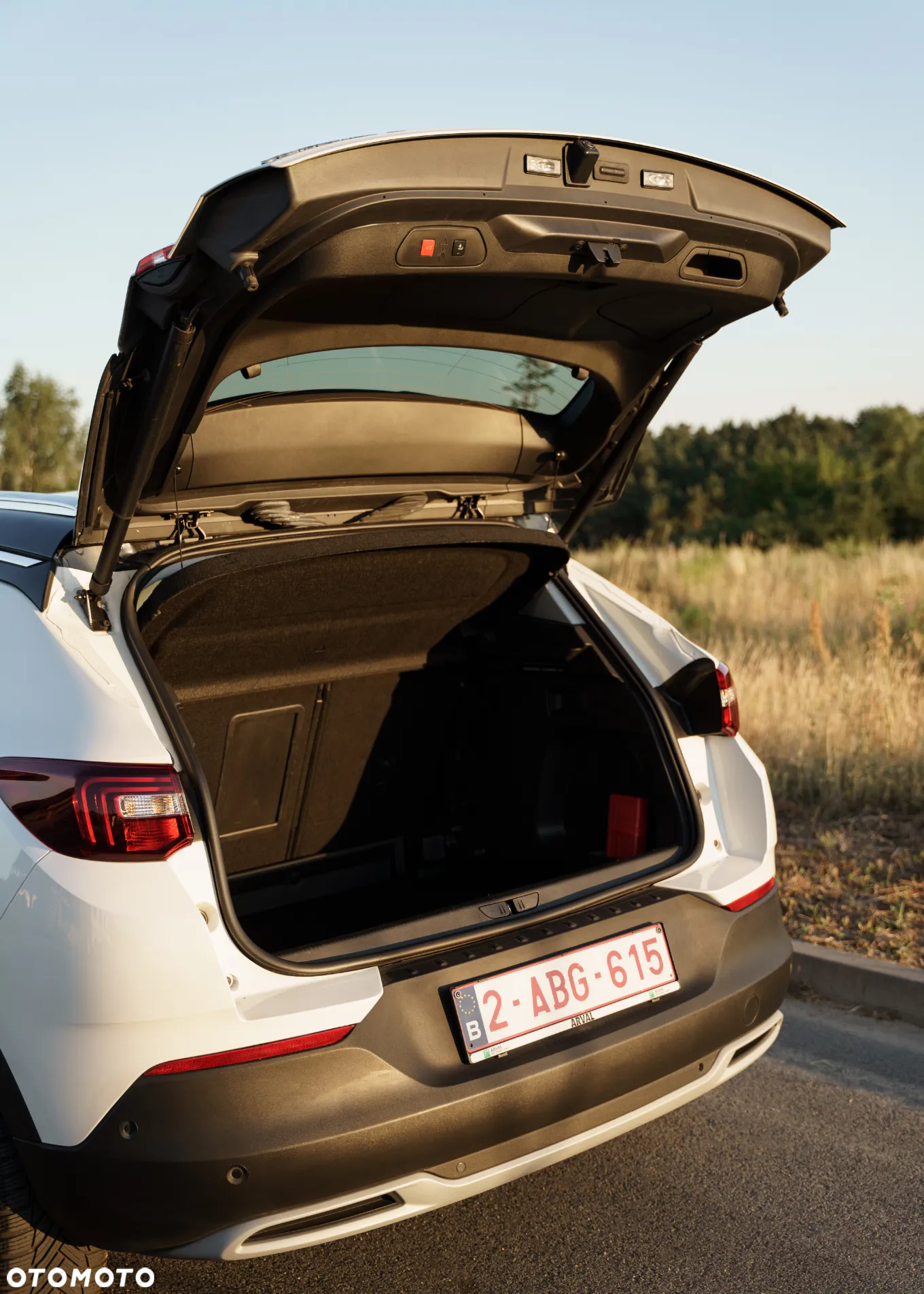 Opel Grandland X 1.5 CDTI Ultimate S&S - 12