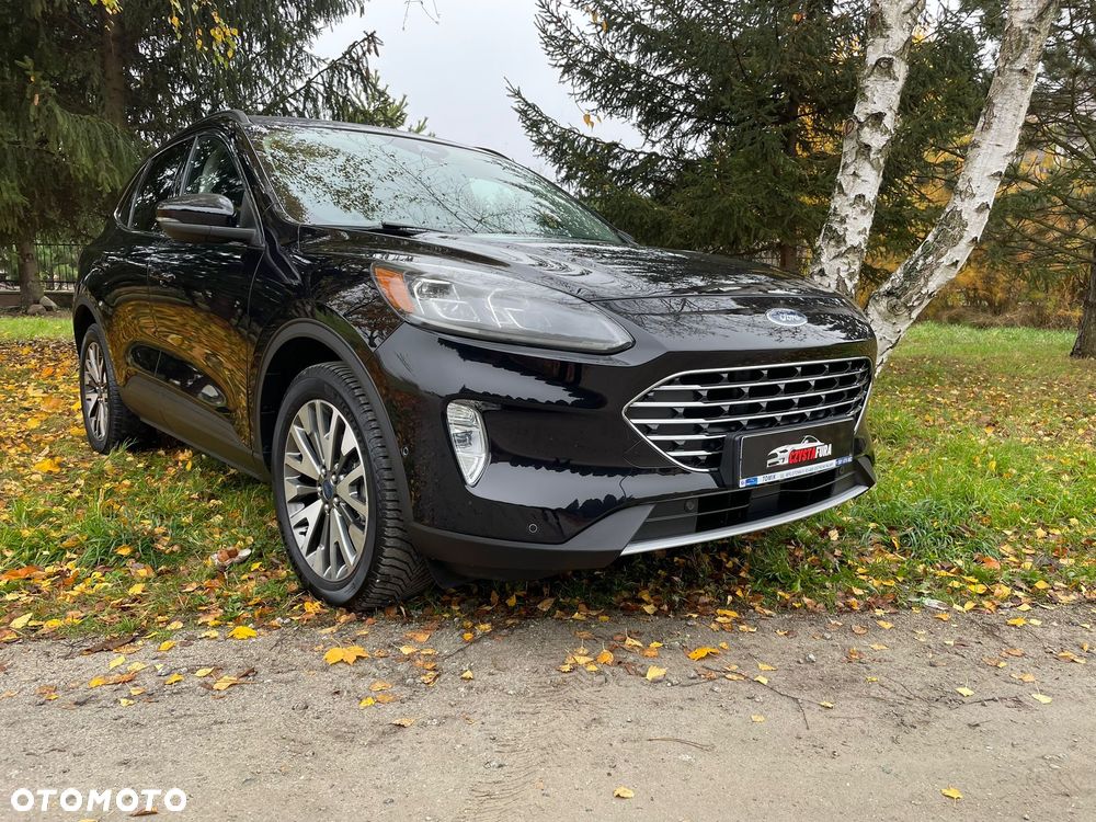 Ford Escape - 7