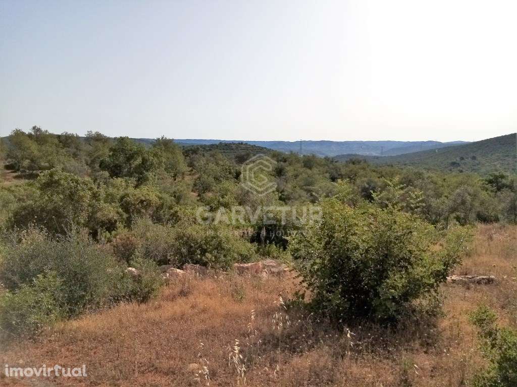 Terreno Rústico perto de Loulé, Loulé, Algarve - Grande imagem: 3/11