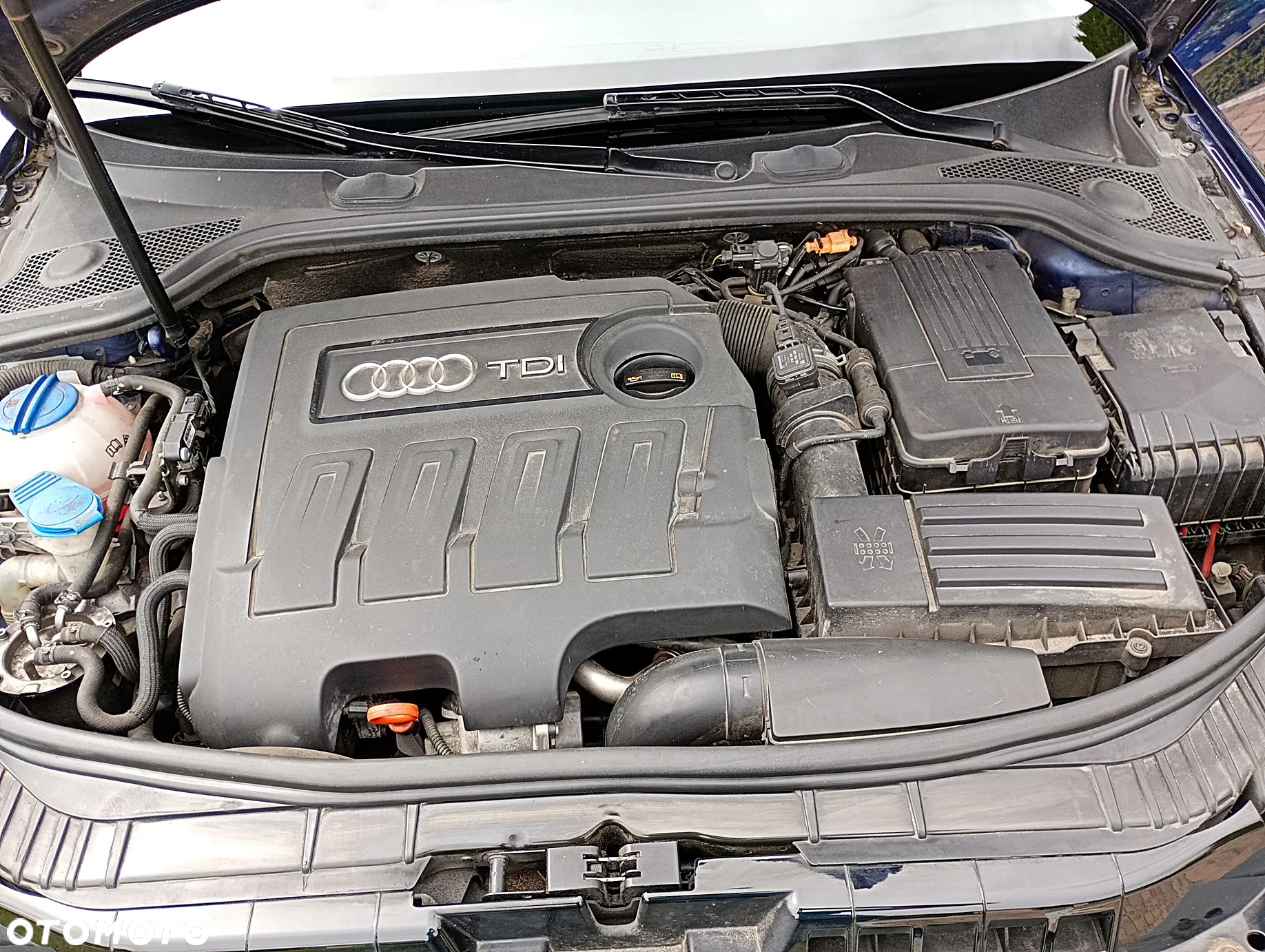 Audi A3 1.6 TDI Ambiente - 28