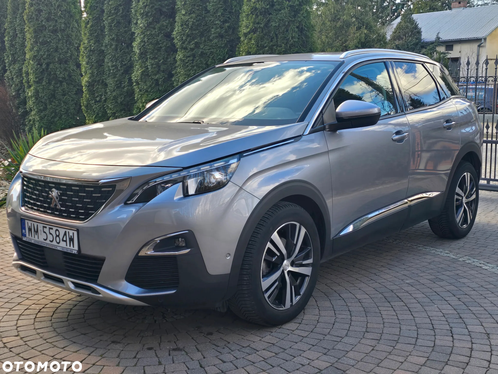 Peugeot 3008 1.2 PureTech Allure Pack S&S - 18
