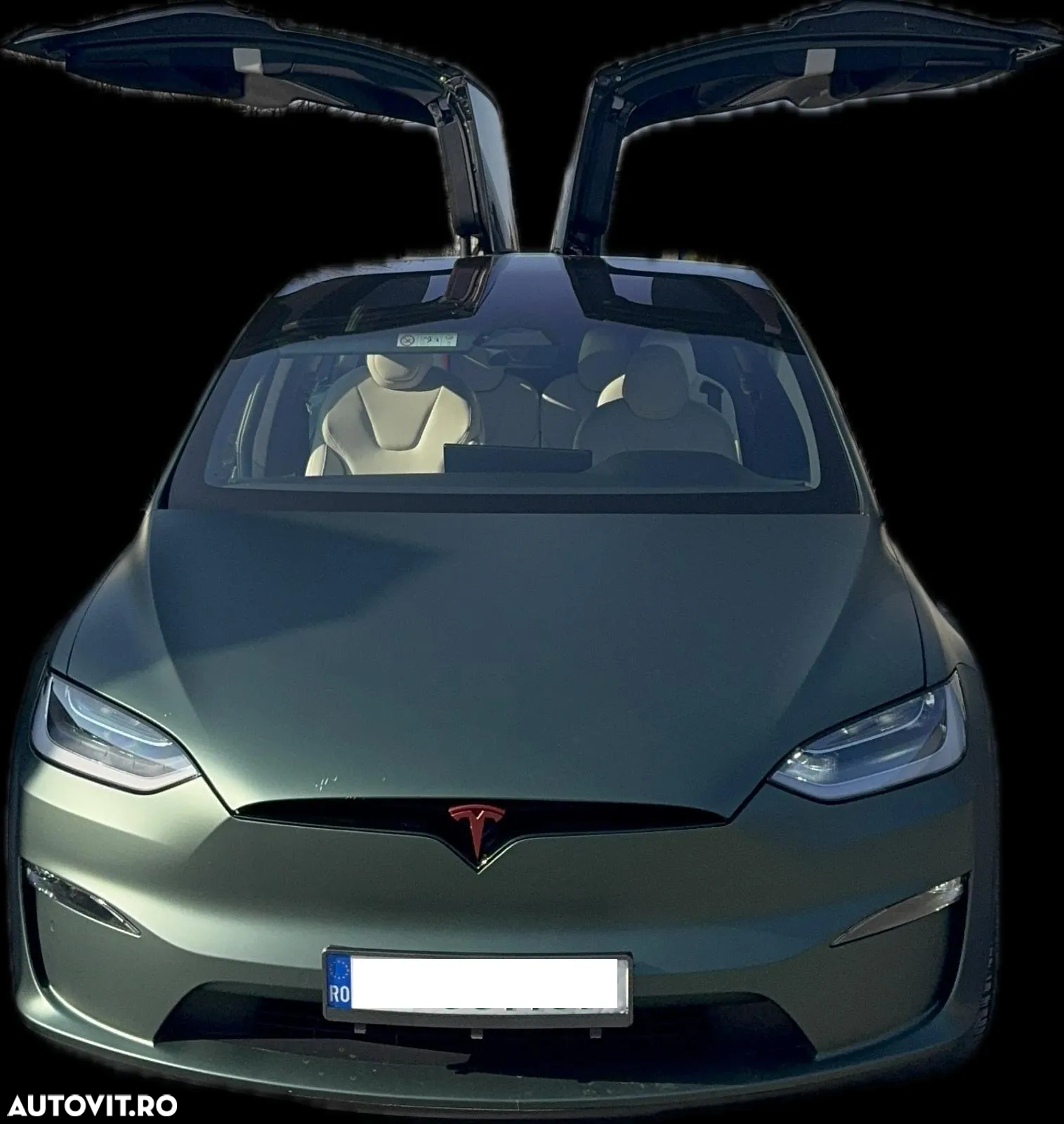 Tesla Model X Plaid - 8